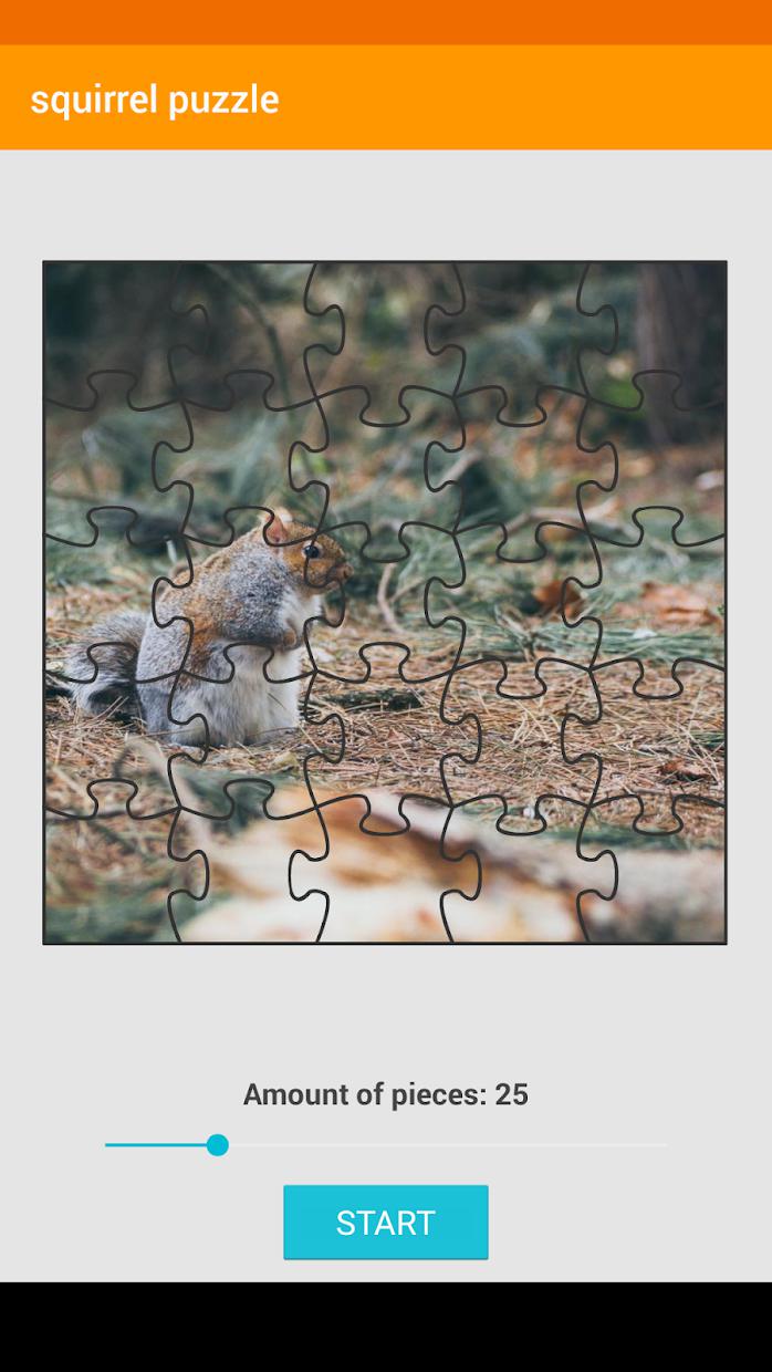 Squirrel Puzzle_截图_3