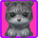 Tickle Kitty