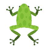 Jumping Hoppy Frog