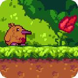 Kiwi's Life : Adventure game for the whole Family