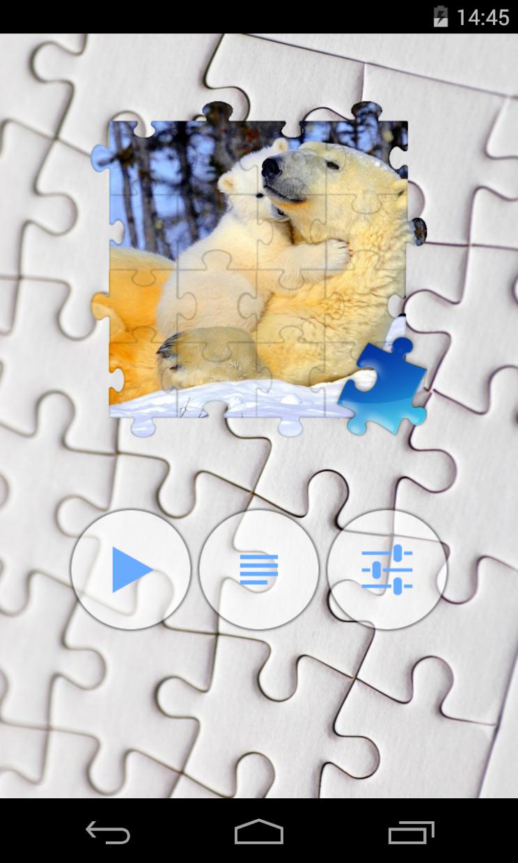 Bear Jigsaw Puzzle