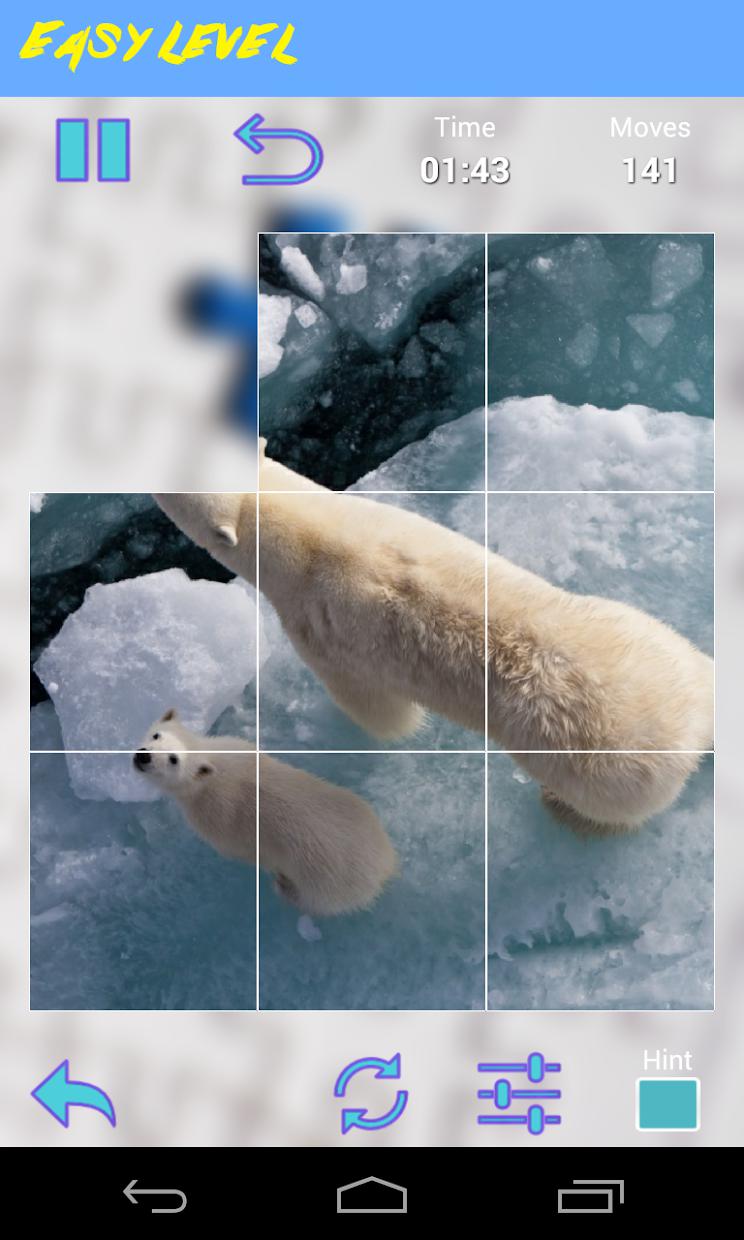 Bear Jigsaw Puzzle_截图_5