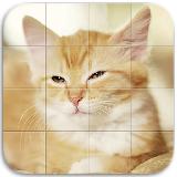 Cats Tile Puzzle