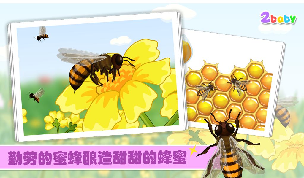 昆虫世界-蜜蜂 有趣的儿童互动绘本故事书