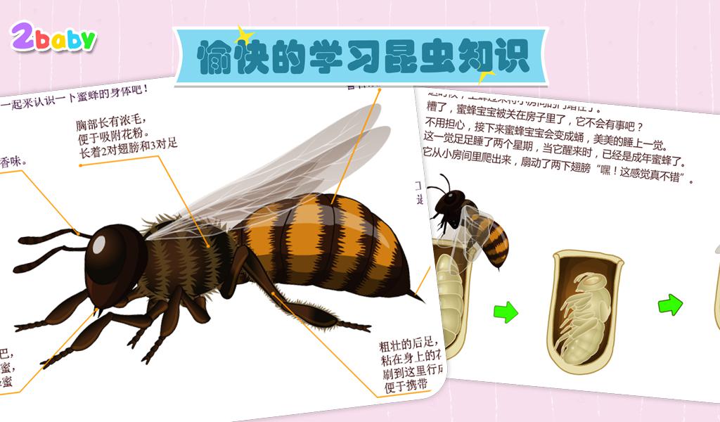 昆虫世界-蜜蜂 有趣的儿童互动绘本故事书_截图_4