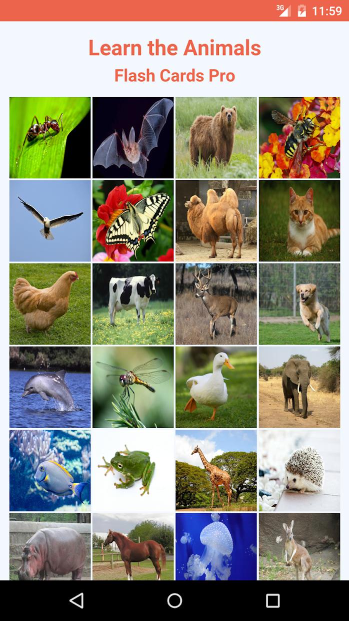 Learn the Animals Flash Cards Pro