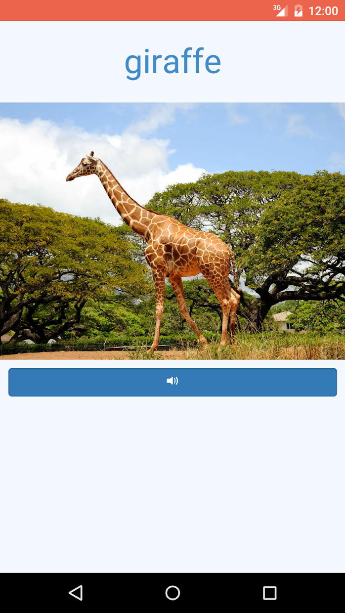 Learn the Animals Flash Cards Pro_截图_4
