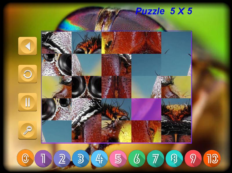 Puzzle Slider Macro Insects_截图_3