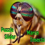 Puzzle Slider Macro Insects