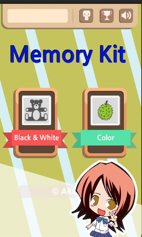 Memory Kit