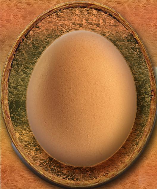 NassT - hatch the egg