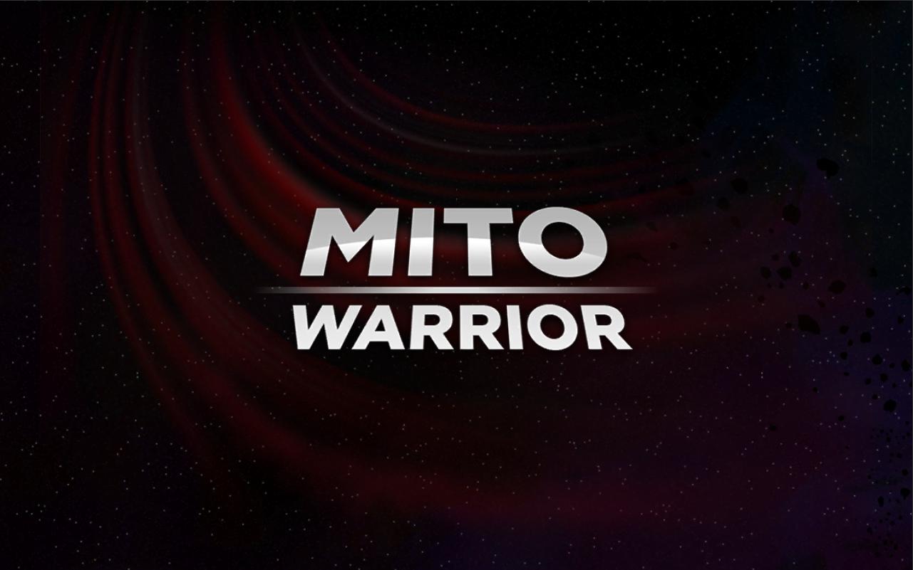 Mito Warrior