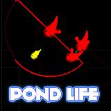 Pond Life