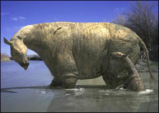 方舟生存进化巨犀 看起来像一个巨大的马和犀牛混合体
