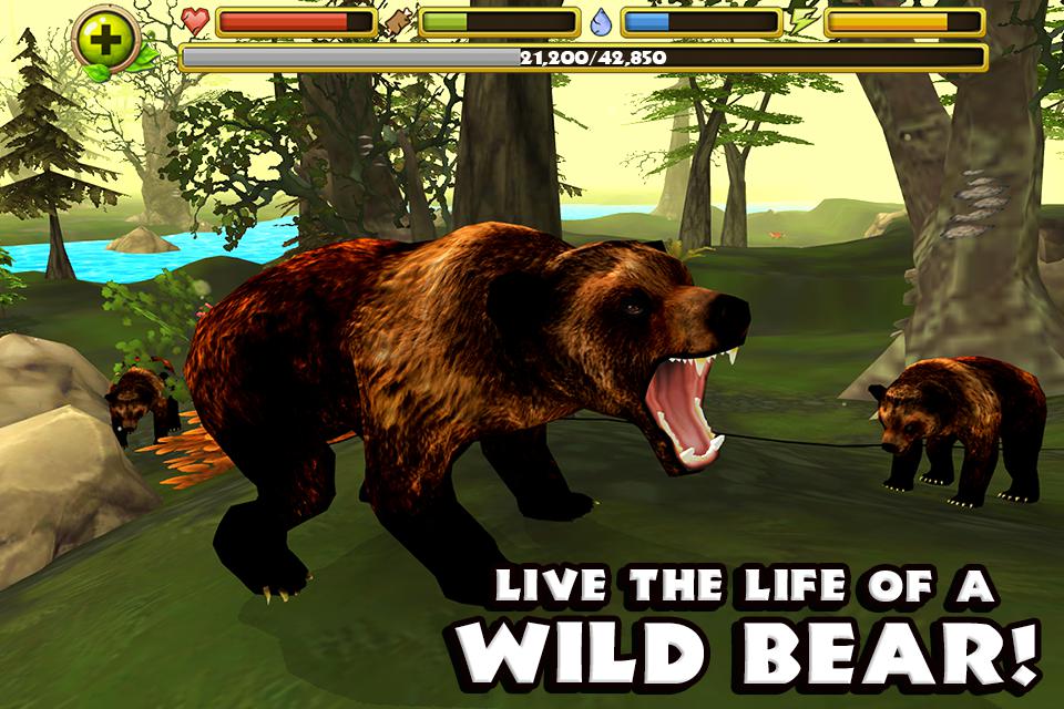 Wildlife Simulator: Bear