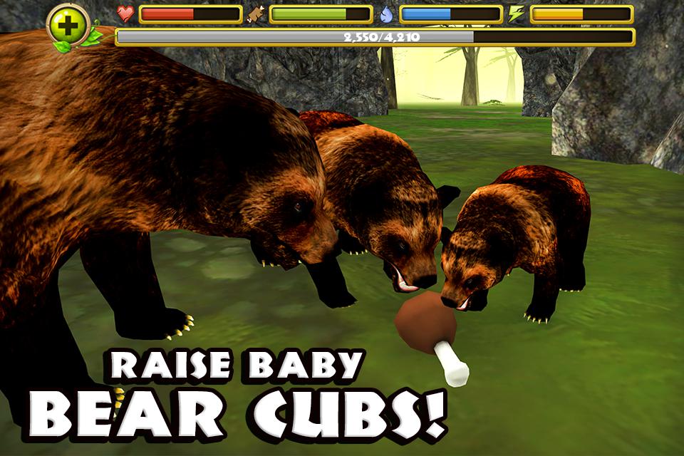 Wildlife Simulator: Bear_截图_3
