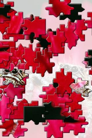 Graffiti Jigsaw Puzzle_游戏简介_图2