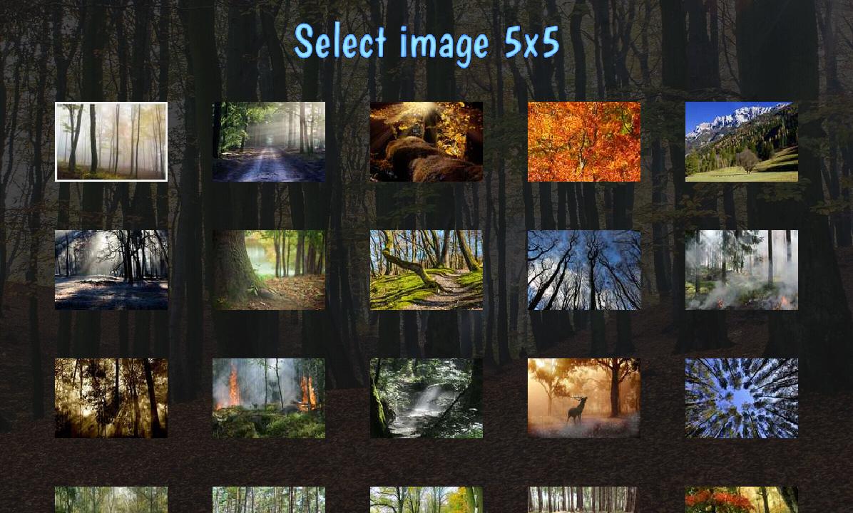 Tile Puzzles · Forests_截图_2