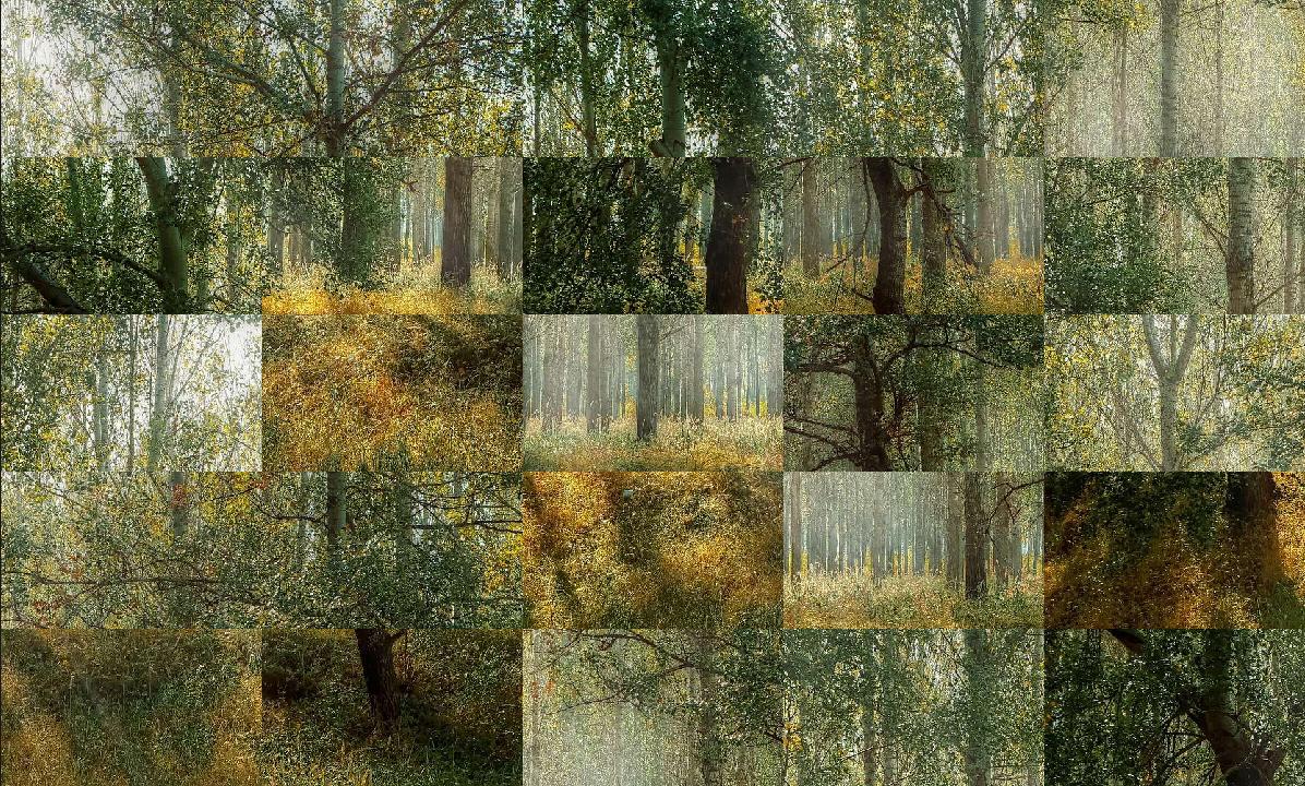 Tile Puzzles · Forests_截图_4