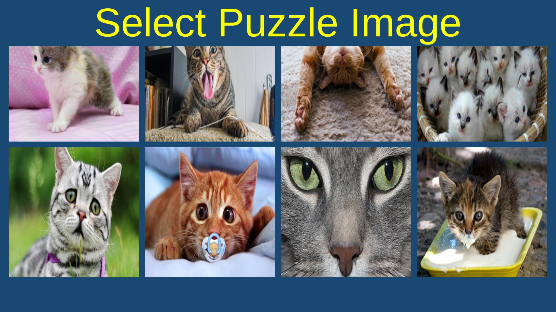 Jigsaw Puzzle Funny Cute Cats