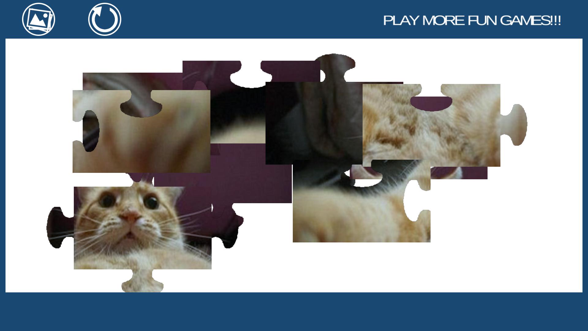 Jigsaw Puzzle Funny Cute Cats_截图_3