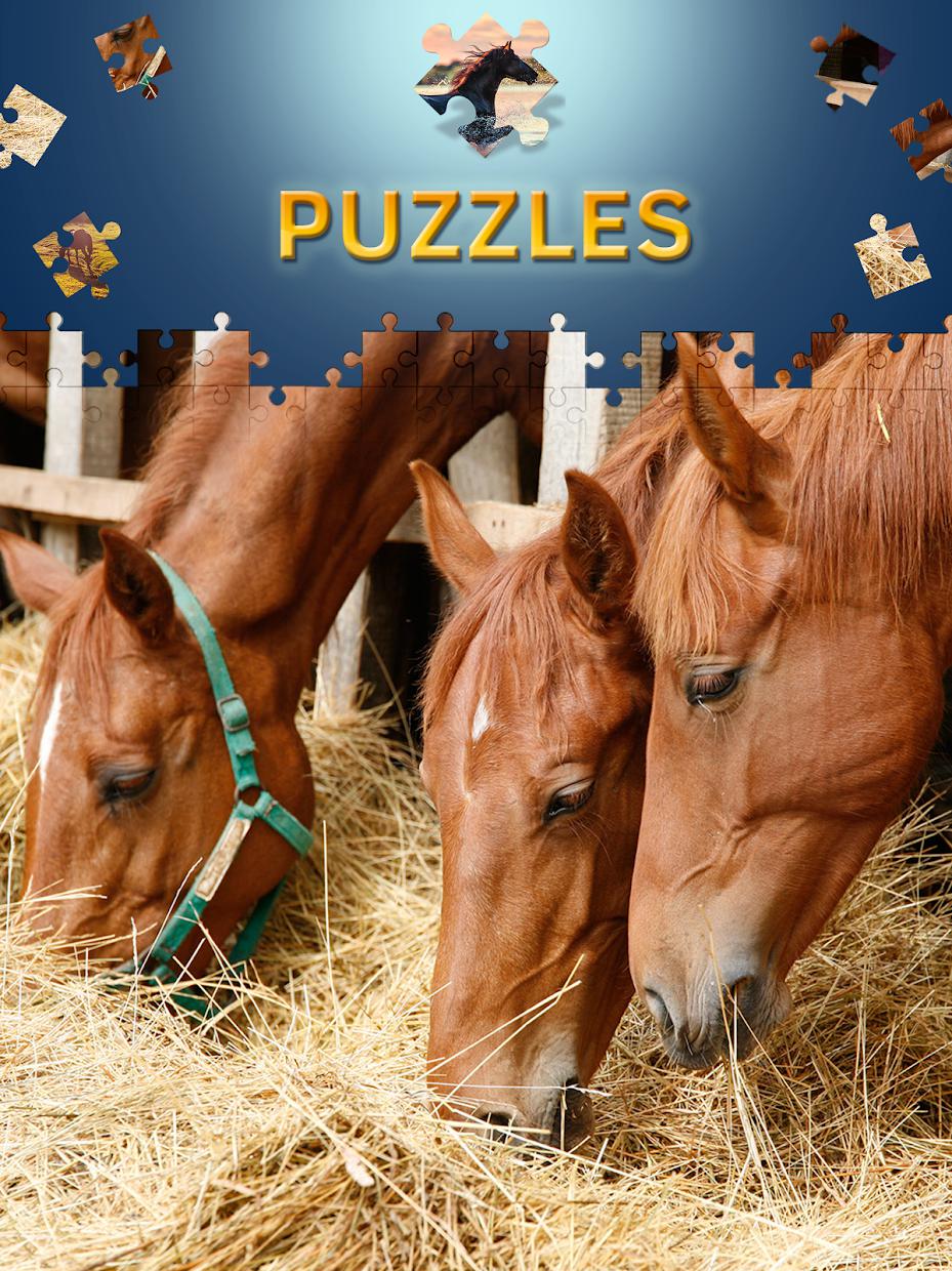 Horses Jigsaw Puzzles Free_截图_3