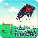 Bald Eagle Hunting