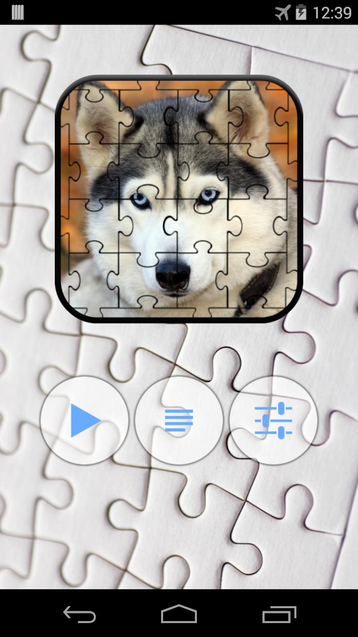 Husky Jigsaw Puzzle