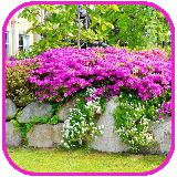 Garden Design and Flowers Tile Puzzle