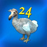 DoDo - Game "24" with extras