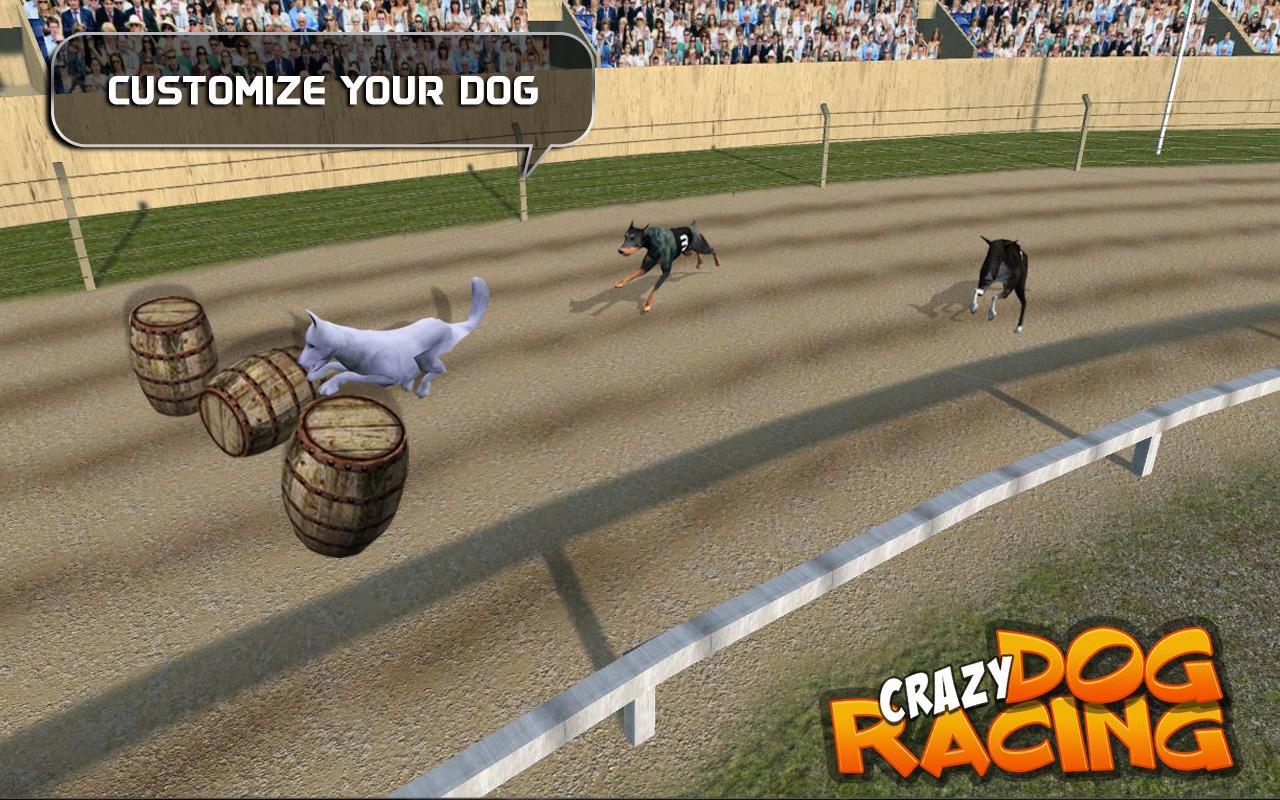 Crazy Dog Racing_游戏简介_图2