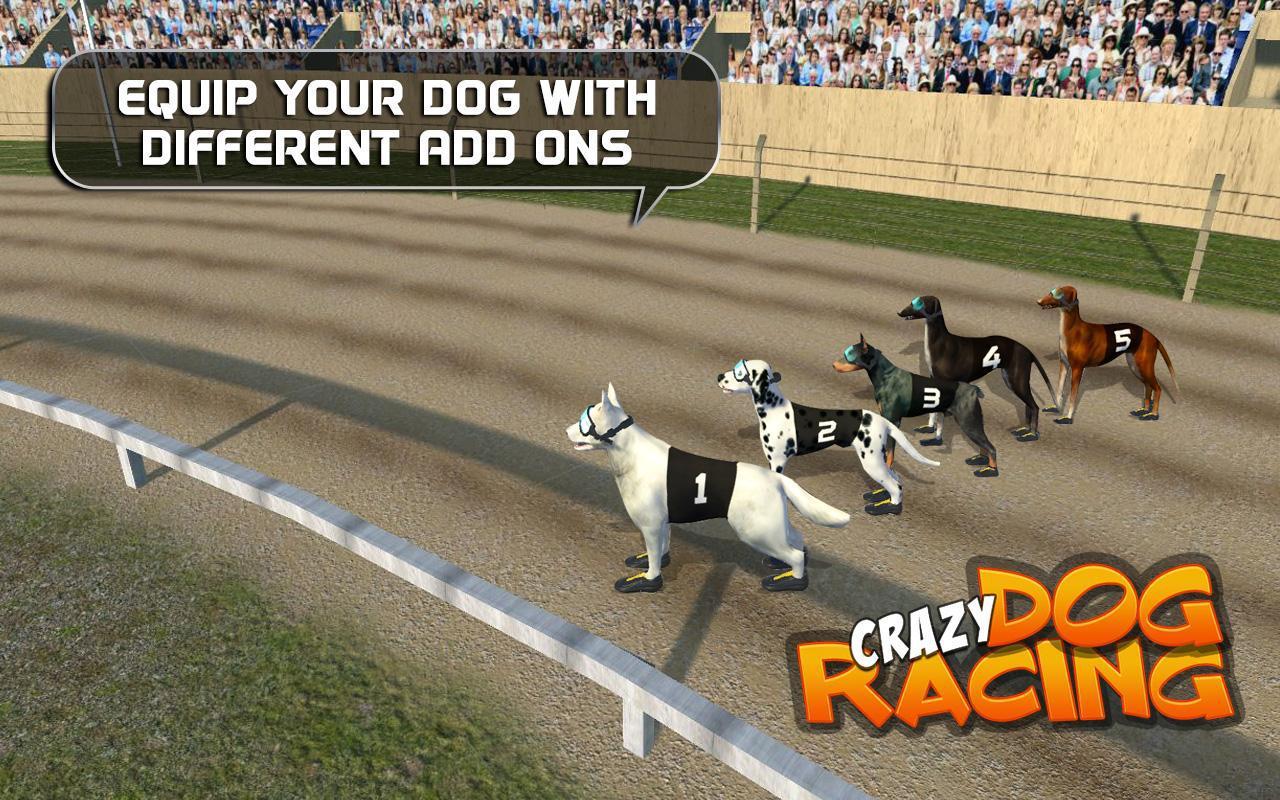 Crazy Dog Racing_截图_5