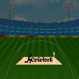 Cricket 2d