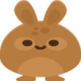 Hoppy Bunny Wear