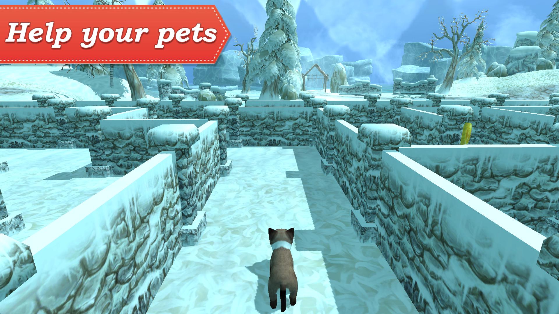 3D Pets in the maze