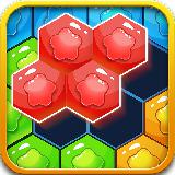 Hexa Puzzle!Free Game
