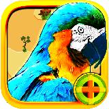 Ultimate Parrot Simulator