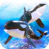 逆戟鲸模拟器：水下生存
