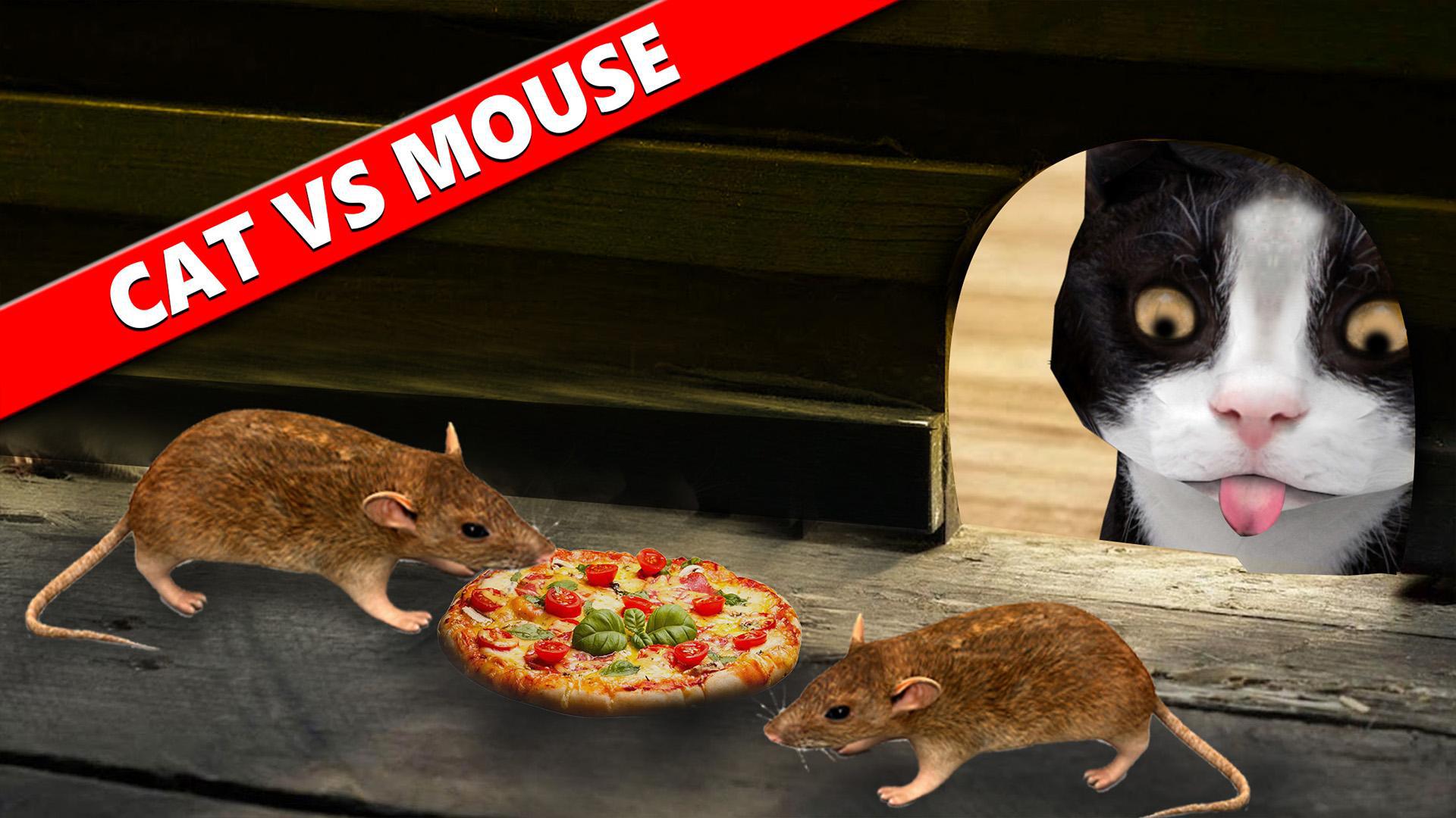 猫VS鼠标模拟器3D_截图_6