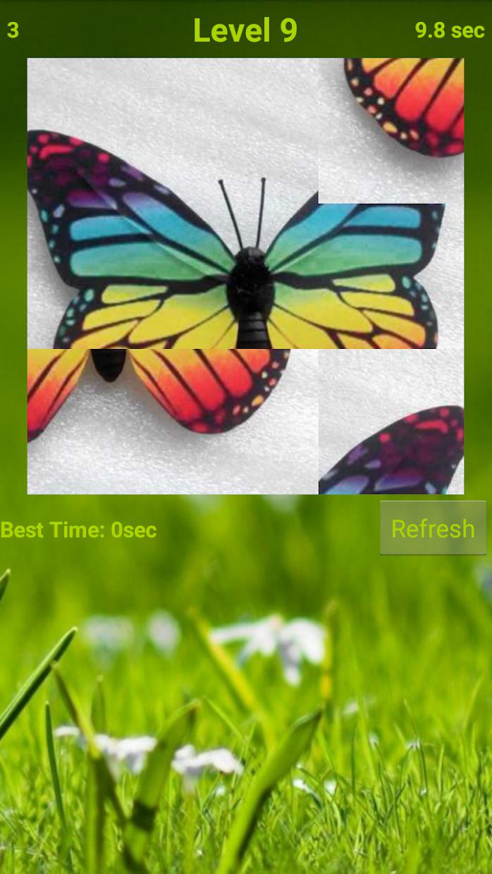 Butterfly Puzzle_截图_2