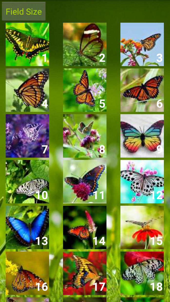 Butterfly Puzzle_截图_5