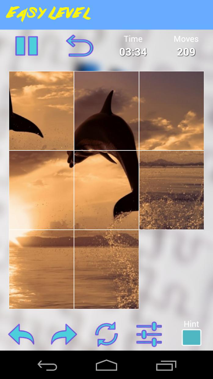 Dolphins Jigsaw Puzzle_截图_2