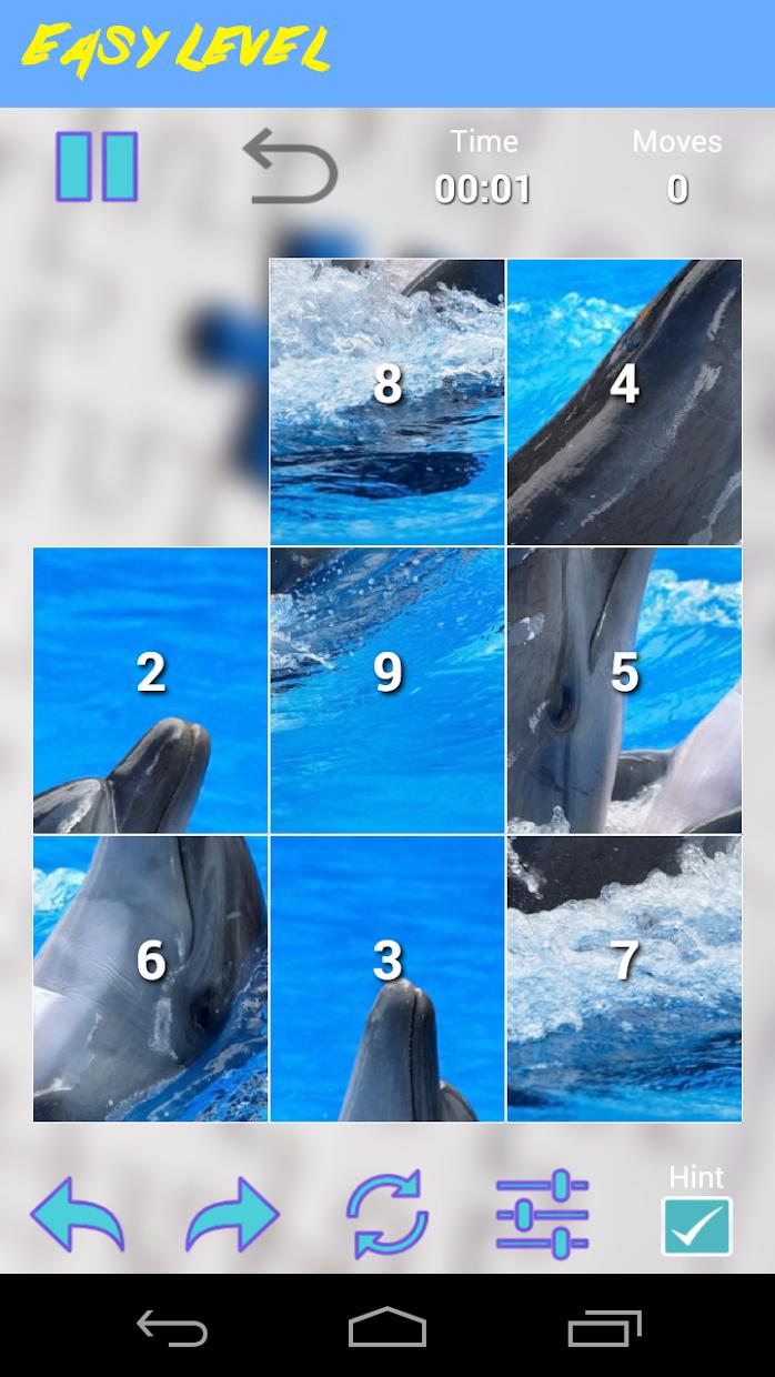 Dolphins Jigsaw Puzzle_截图_4
