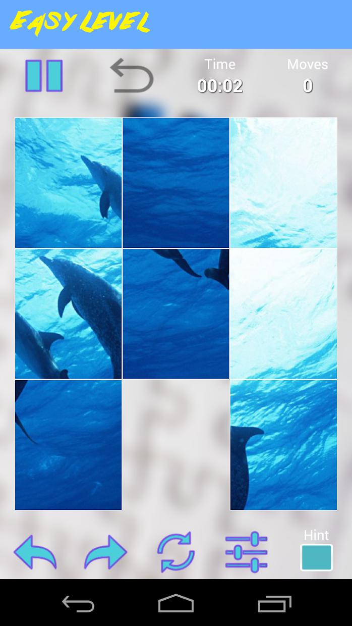 Dolphins Jigsaw Puzzle_截图_5