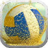 疯狂排球3D体育游戏 Crazy Volleyball 3D