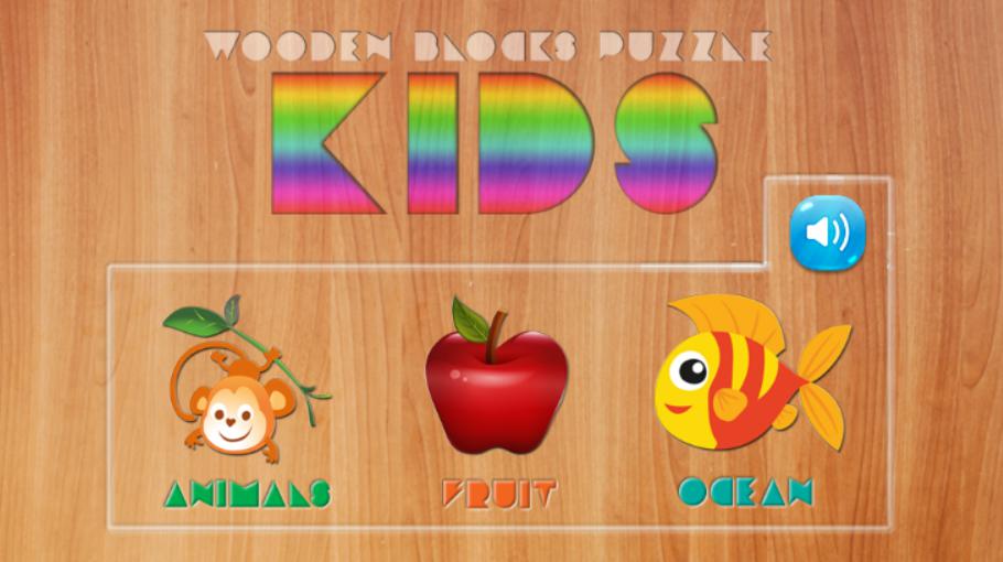 Kids Wooden Blocks Puzzle