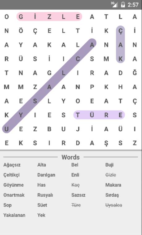 Words game - Find hidden words_截图_2