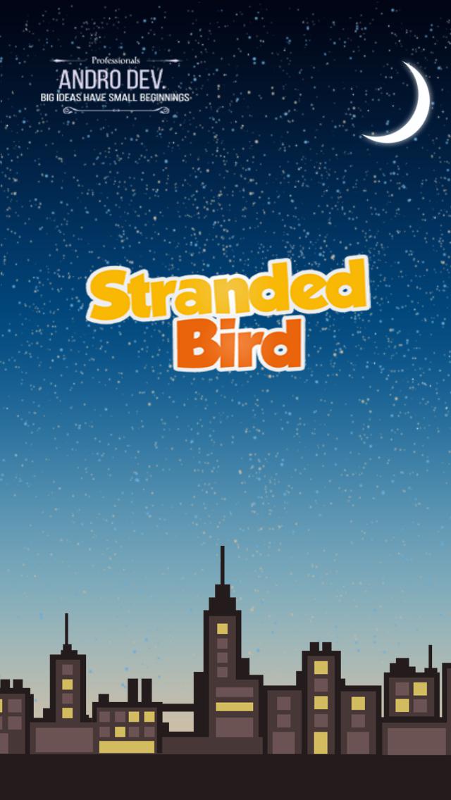Stranded Bird 2
