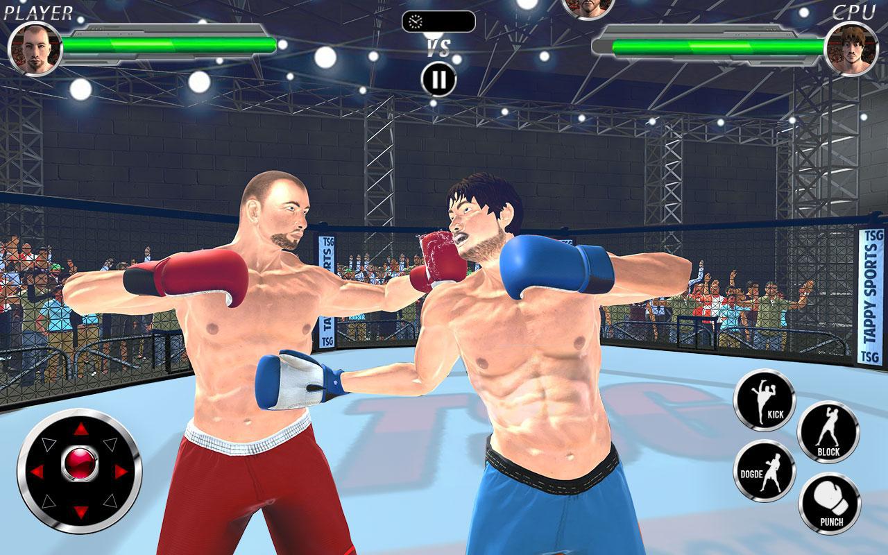 真正的打拳击冠军3D：MMA格斗2k18