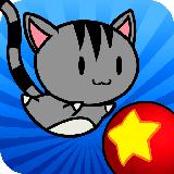 Super Cat Bounce